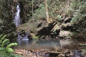 Tempo de celebrar: Recanto Monsenhor Domingos é oficialmente uma Reserva Particular do Patrimônio Natural!